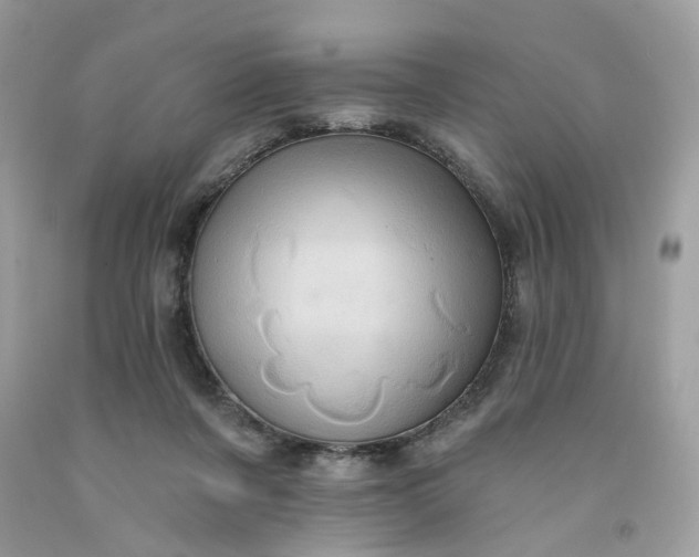 X0000091580311200709051106