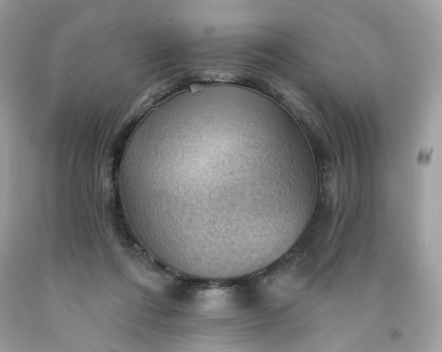 X0000091580312200709051106