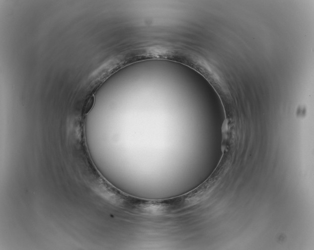 X0000091580313200709051106