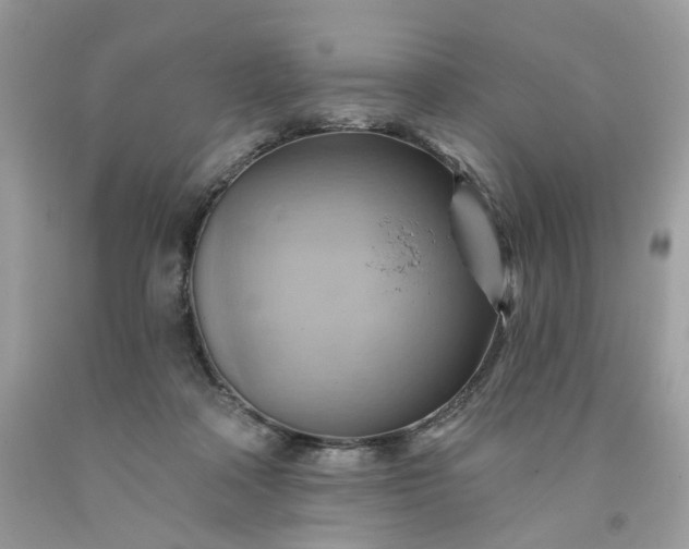 X0000091580314200709051106