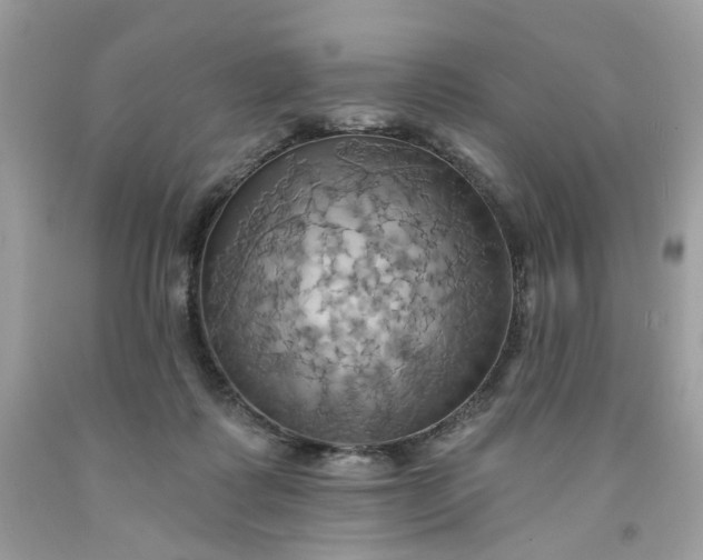 X0000091580315200709051106