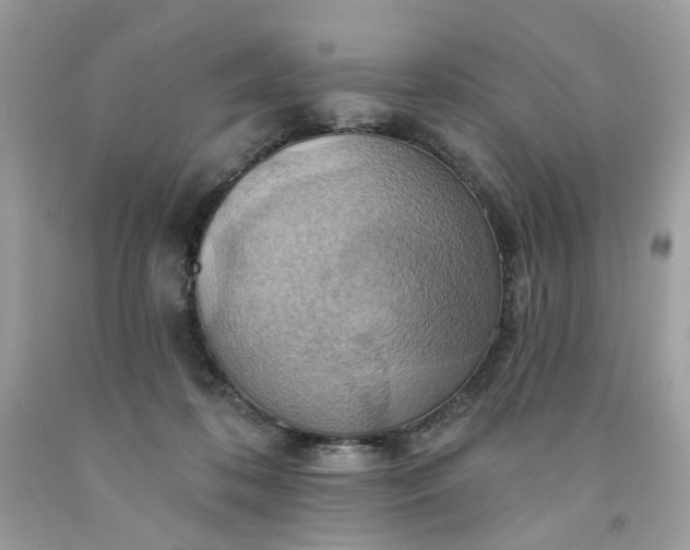 X0000091580316200709051106