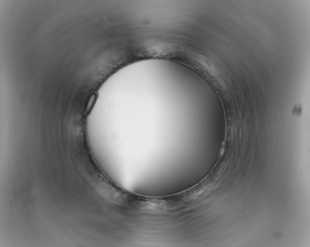 X0000091580317200709051106