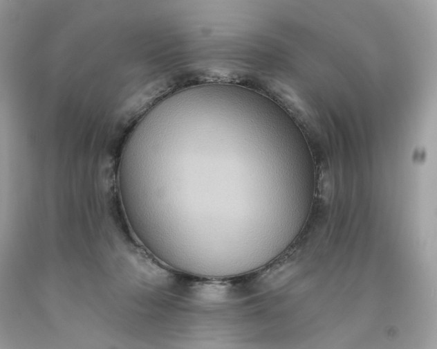 X0000091580318200709051106