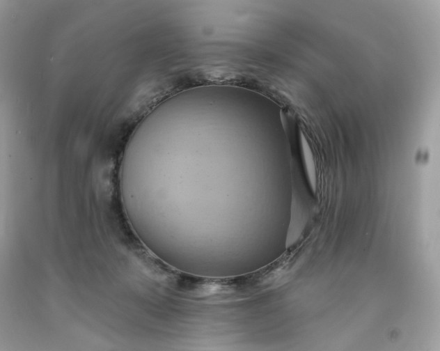 X0000091580319200709051106