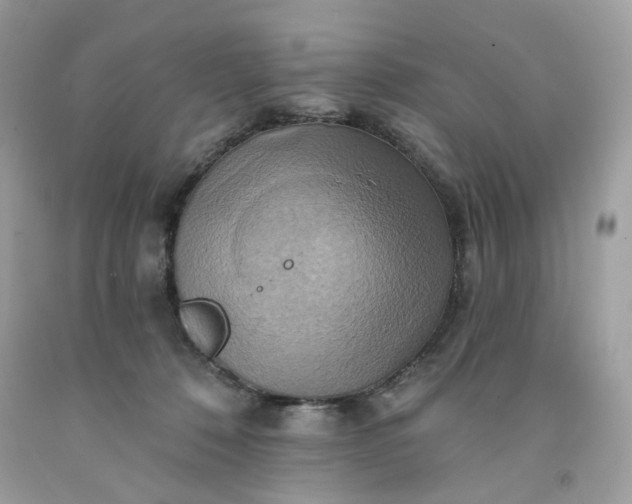 X0000091580320200709051106