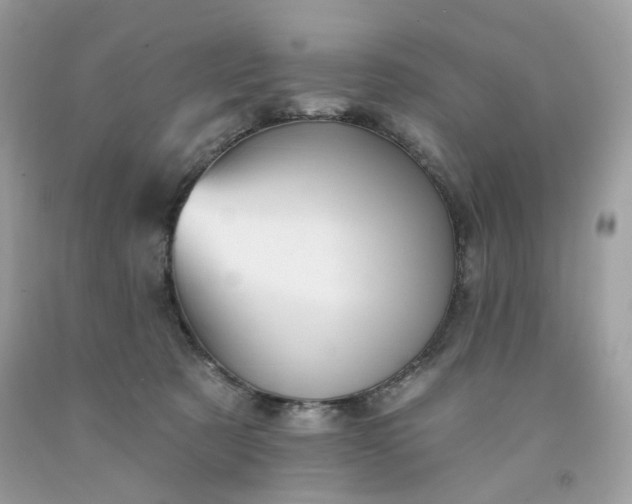 X0000091580321200709051106