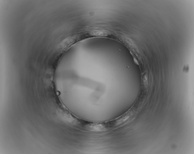 X0000091580322200709051106