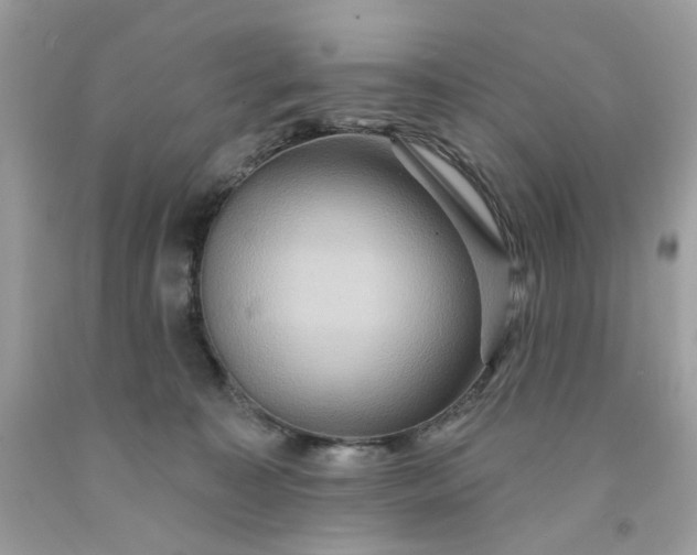 X0000091580323200709051106