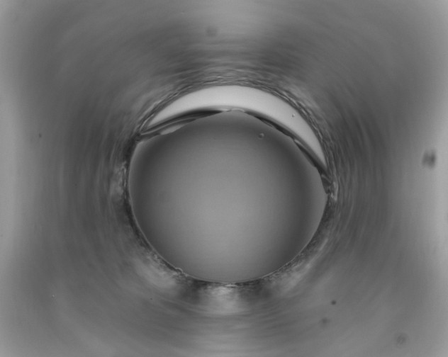 X0000091580325200709051106