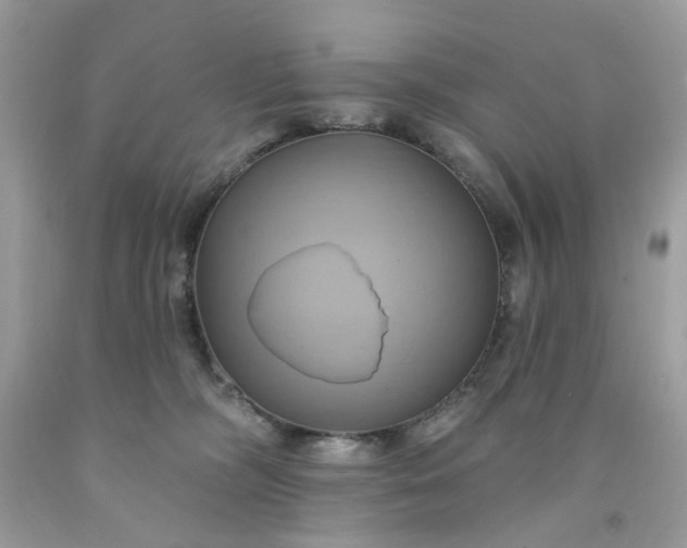 X0000091580326200709051106