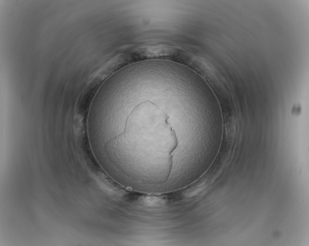 X0000091580327200709051106