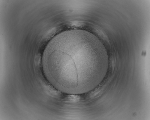 X0000091580328200709051106