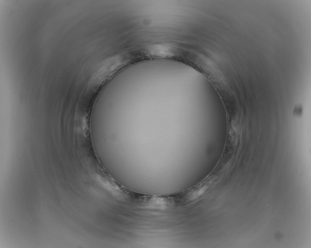 X0000091580330200709051106