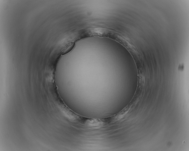 X0000091580331200709051106