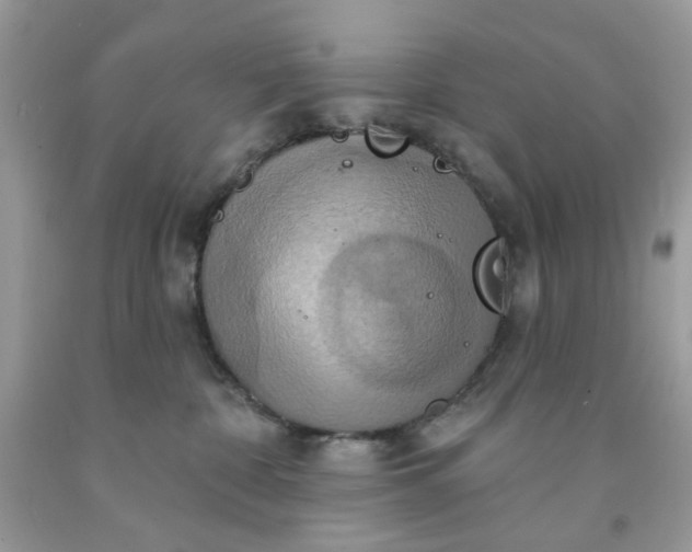 X0000091580332200709051106