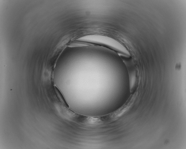 X0000091580333200709051105