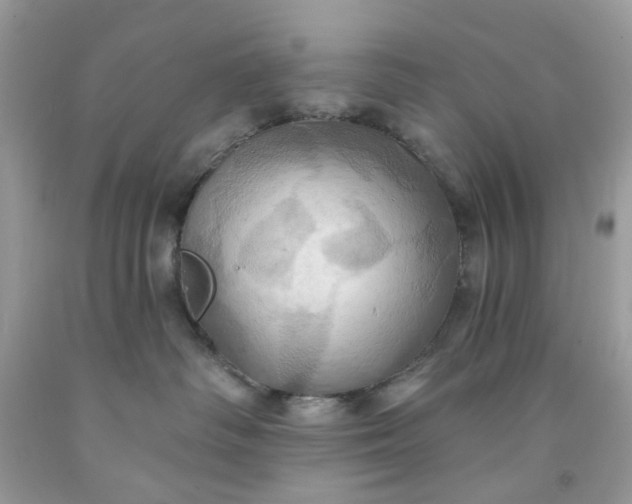 X0000091580334200709051105