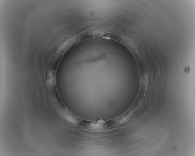 X0000091580335200709051105