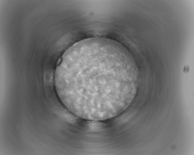 X0000091580336200709051105