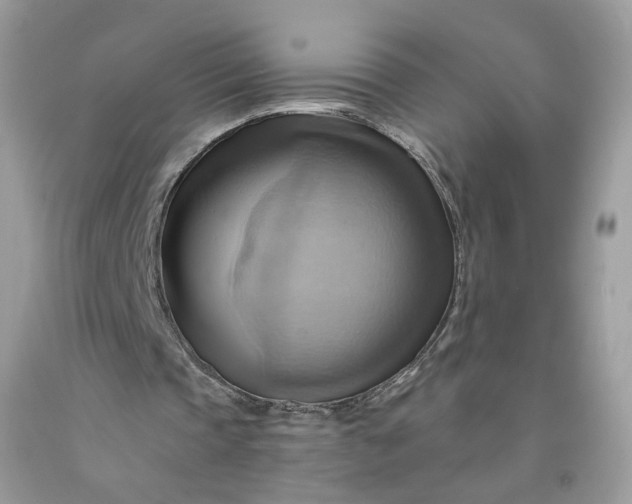 X0000091580337200709051105