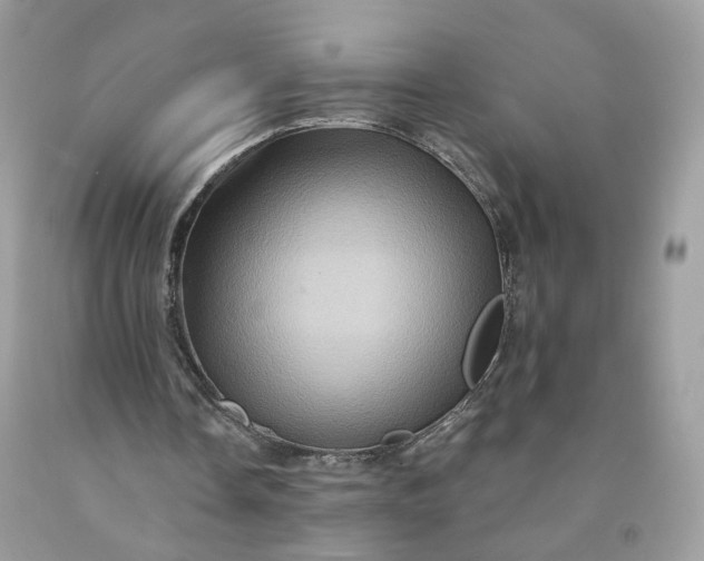 X0000091580338200709051105