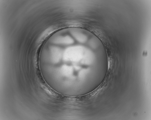 X0000091580339200709051105