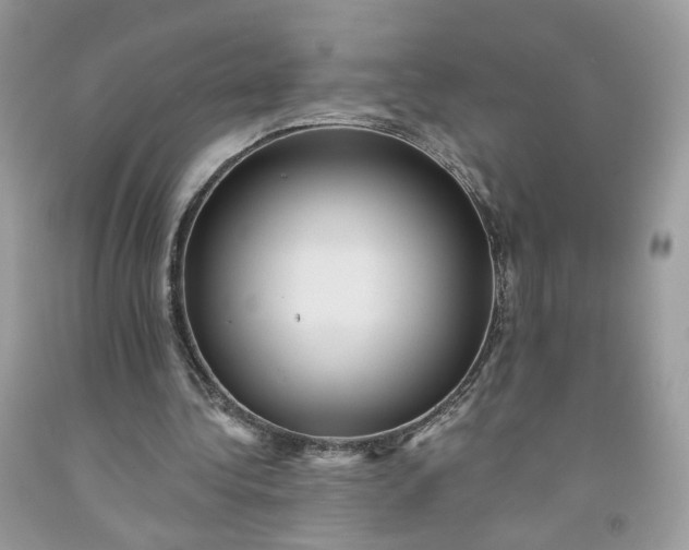 X0000091580340200709051105