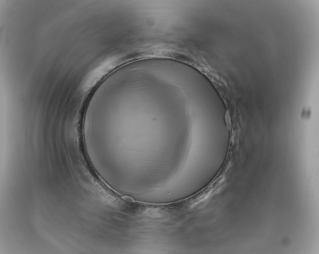 X0000091580341200709051105