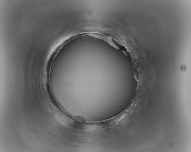 X0000091580342200709051105