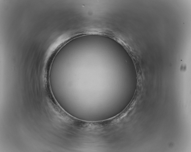 X0000091580343200709051105