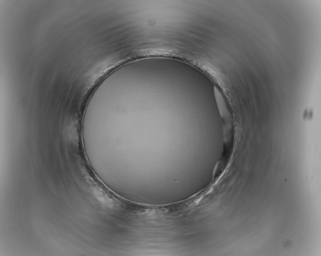 X0000091580345200709051105