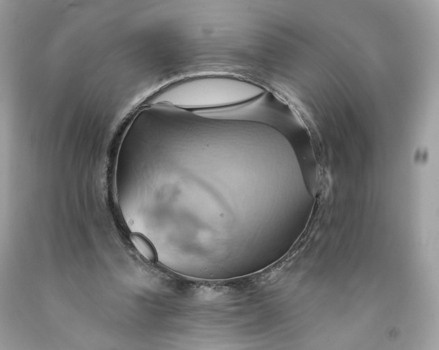 X0000091580346200709051105