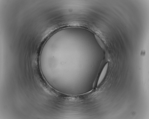 X0000091580347200709051105