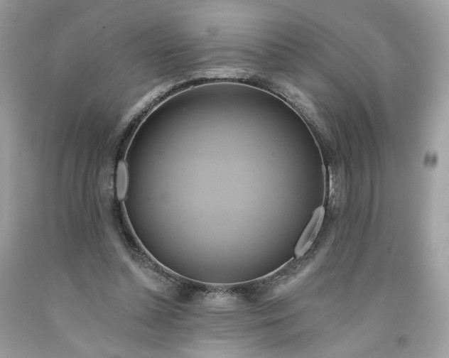 X0000091580348200709051105