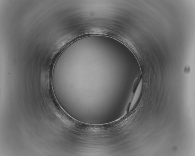 X0000091580349200709051105