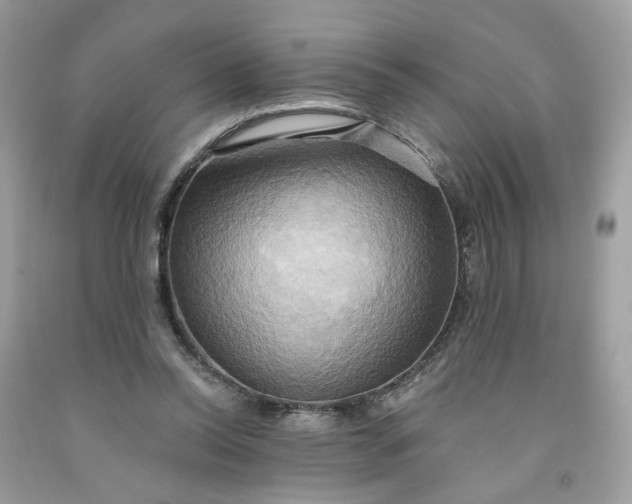 X0000091580350200709051105