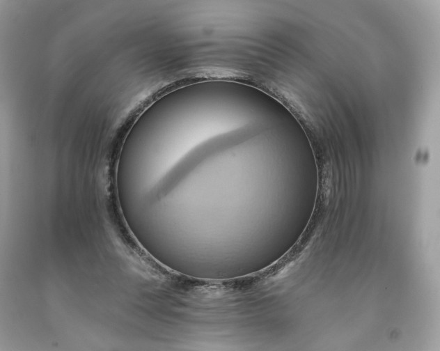 X0000091580351200709051105