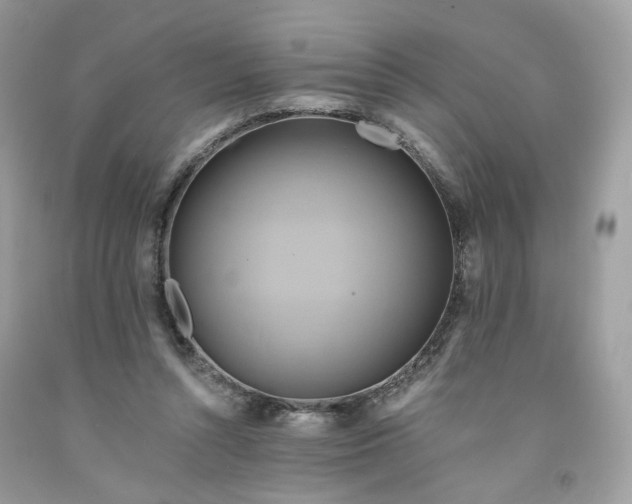 X0000091580352200709051105