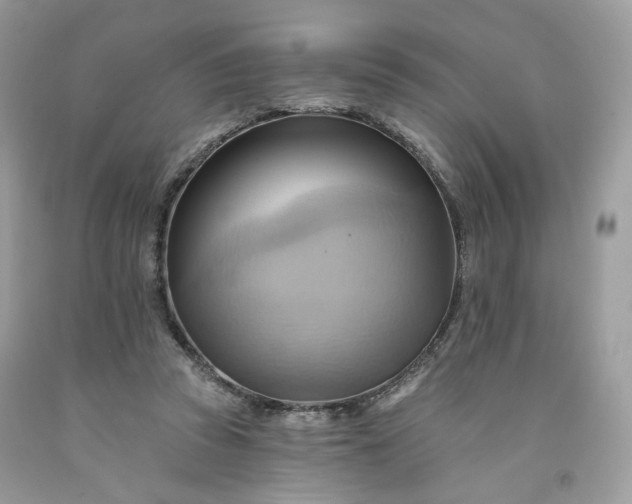 X0000091580353200709051105