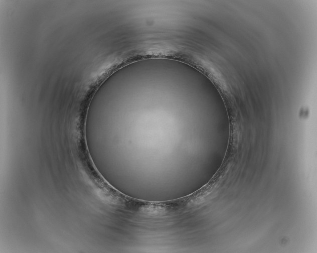 X0000091580354200709051105