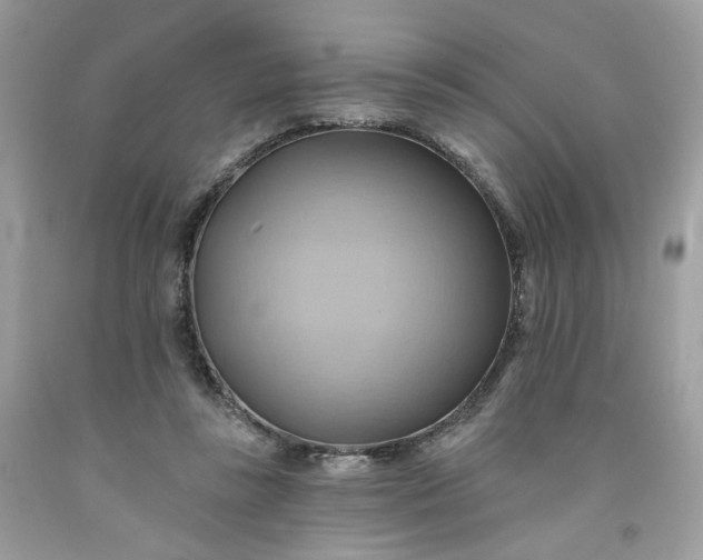 X0000091580355200709051105