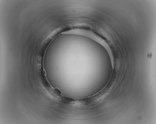 X0000091580356200709051105