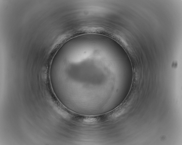 X0000091580357200709051105