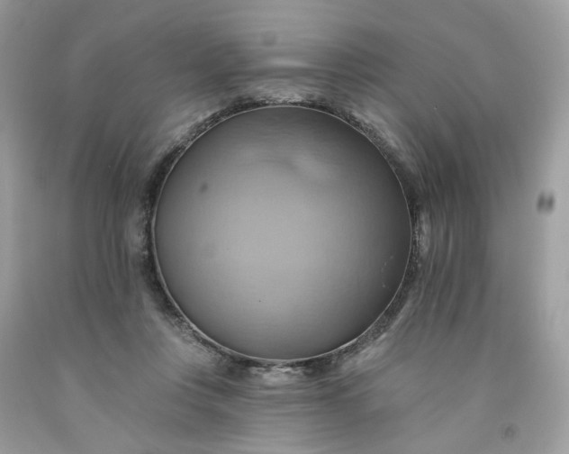 X0000091580359200709051105