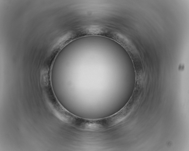 X0000091580360200709051105