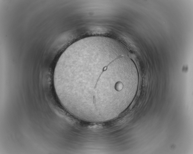 X0000091580362200709051105