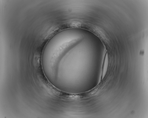 X0000091580363200709051105