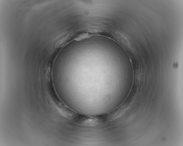 X0000091580364200709051105