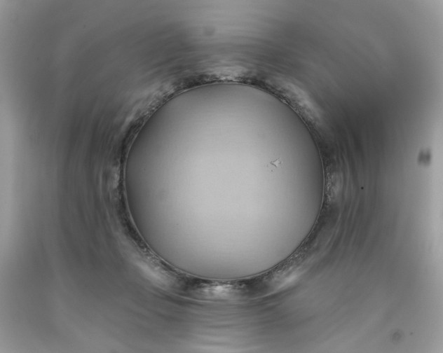 X0000091580365200709051105